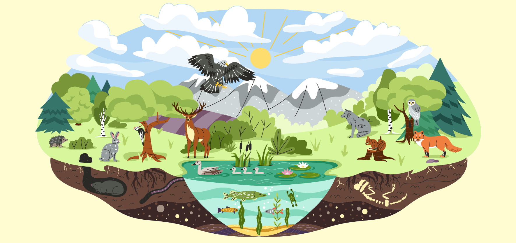 Hearing Loss and the Great Outdoors
